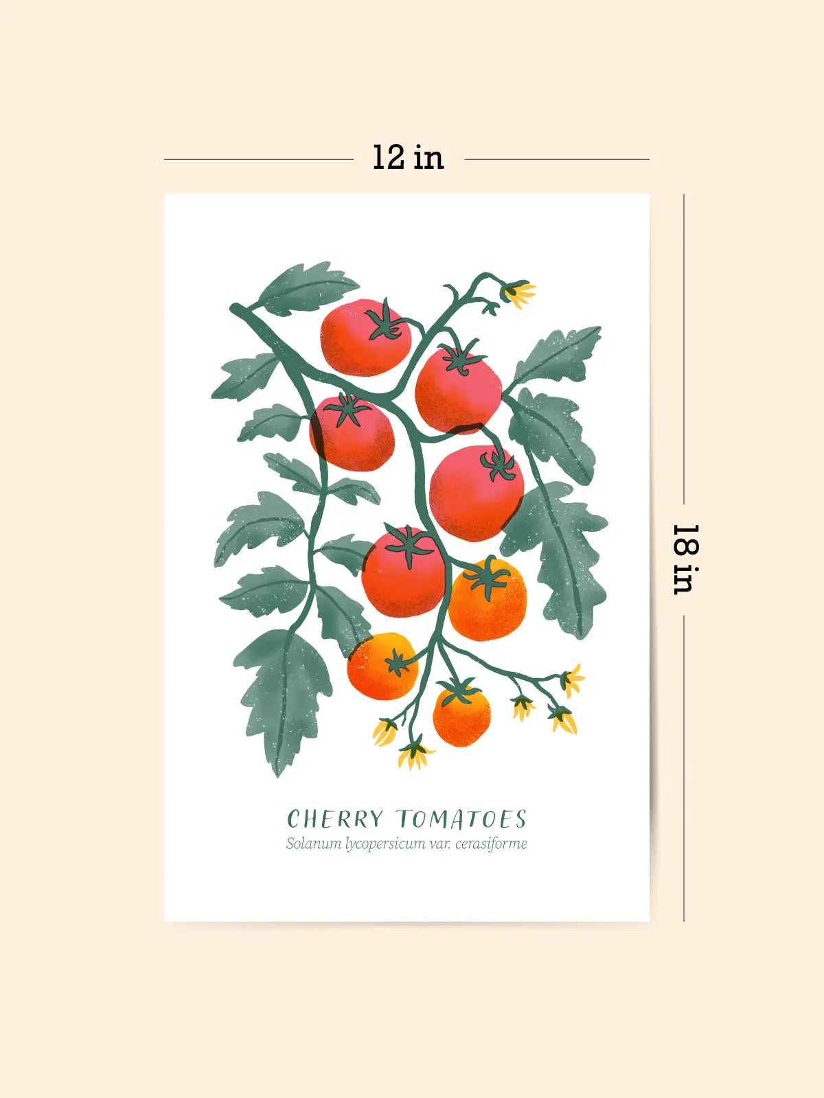 Cherry Tomatoes Risograph Art Print (12x18")
