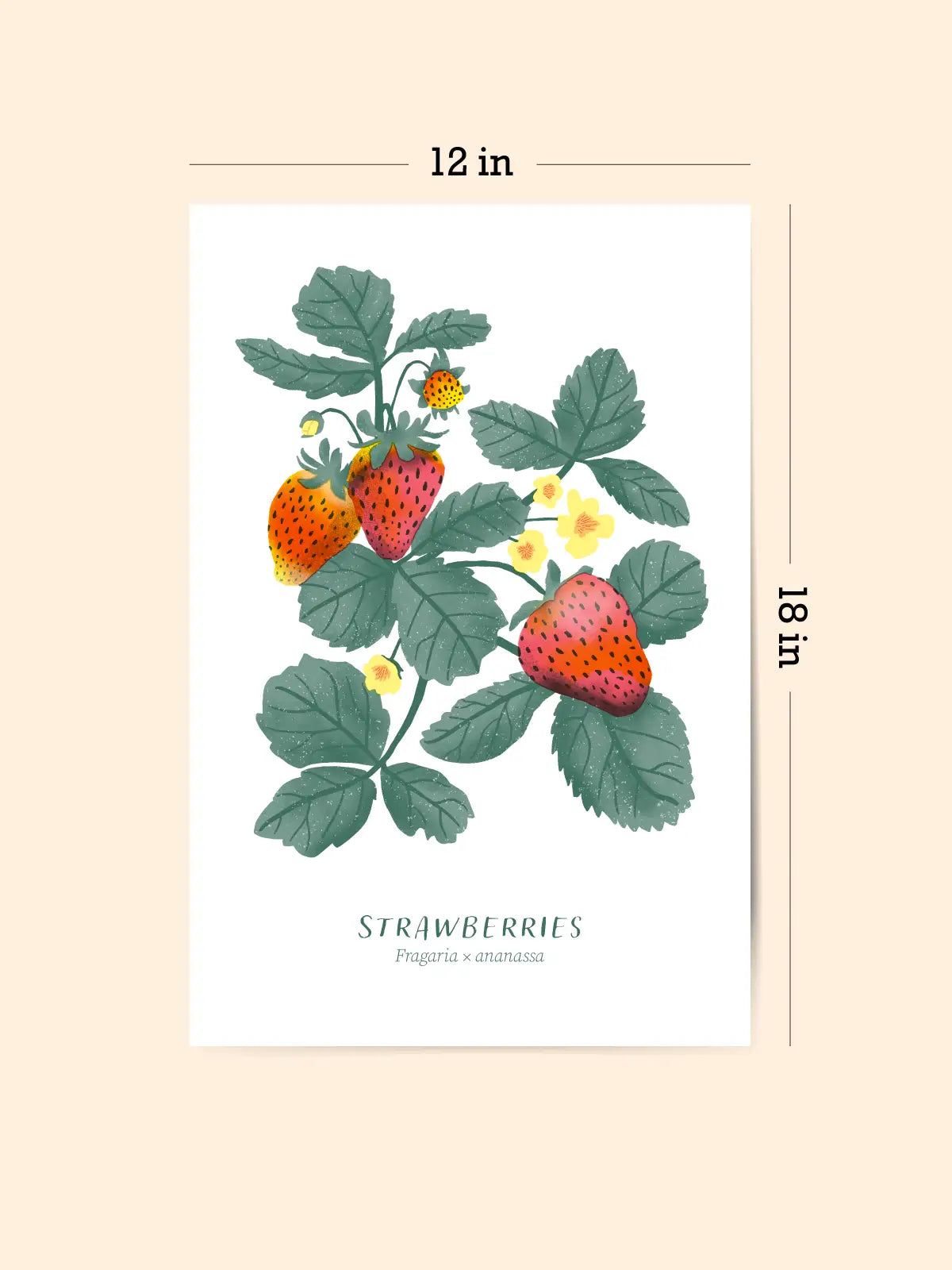 Strawberries Risograph Art Print (12x18")